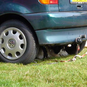 quey onder de auto
