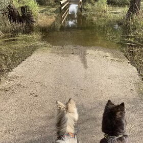 Hoog water!