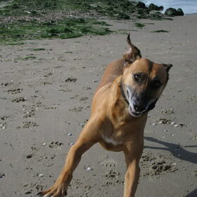 jeee strand!!!