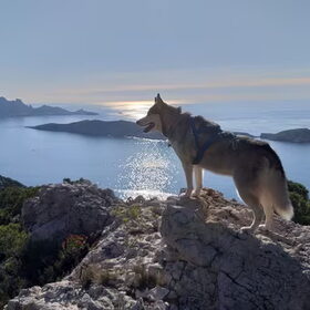 Uitzicht vanuit de bergen bij Marseille