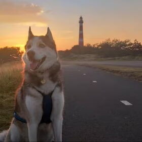 Zonsopgang op Ameland