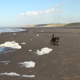 Op het strand