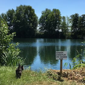 Speciaal voor honden