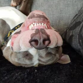 cheeeeezzzzzz