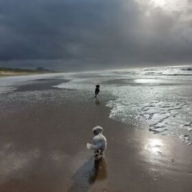 Herfst aan zee