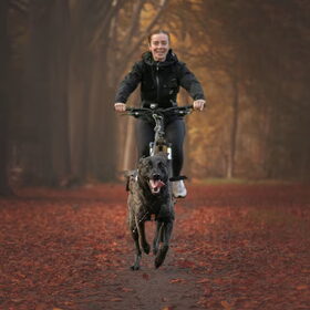 Bikejören in de herfst