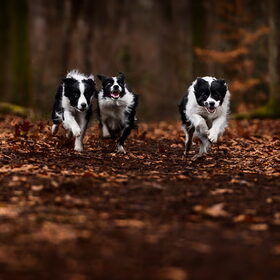 Run 4 your life