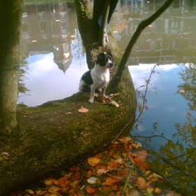 Kleine Lola