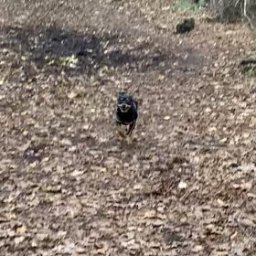 I believe I can fly!