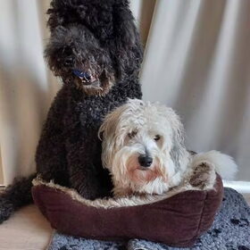 Liefde is...samen in een klein mandje