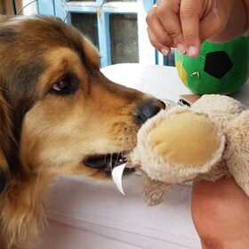 Wat doe je met mijn knuffel?