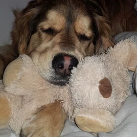 Samen slapen