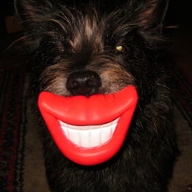 Smile!