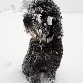 Sneeuw is heerlijk!