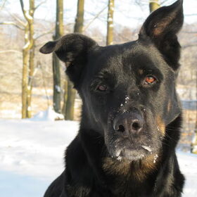 Geen titel