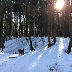 Winterzon