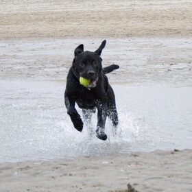 Lekker aan het strand