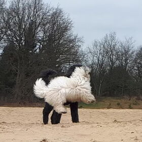 Ook al ben ik klein, ik kan wel hoog springen!