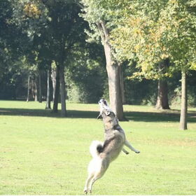 I believe i can flyyy