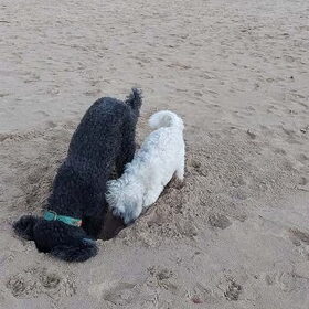 twee best vriendjes