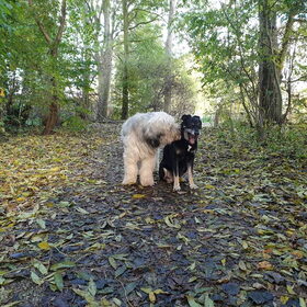 Max en Mila