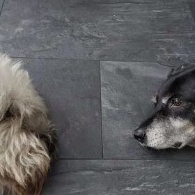 Max en Mila