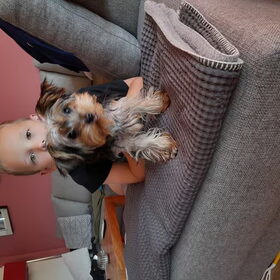 Sascha met Ben