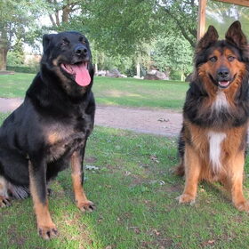 Lola haar beste hondenvriend was Baloe