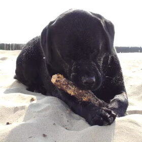 Lekker hout