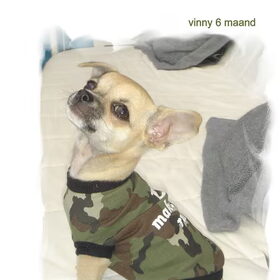 vinny fotomodel ;)