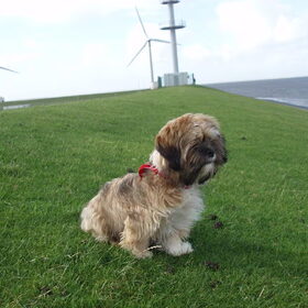 aan zee