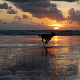 Feeling free