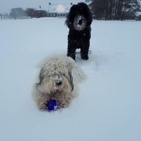 Het duo in de sneeuw
