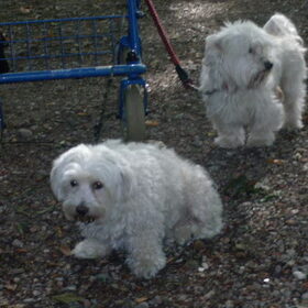 sita en westley