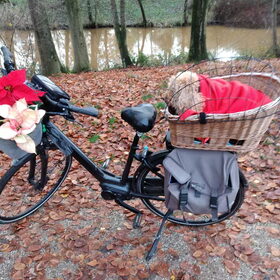 Op de fiets in de winterkou