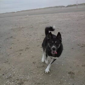 Runnin' Mara