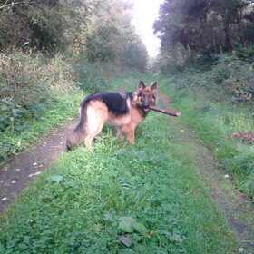 Takken weer
