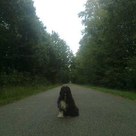 Lady in volle natuur...