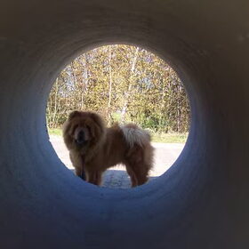 kieke boe