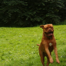 Luna jumpt