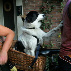 Een van de hobby`s van Frodo, fietsen met de baas