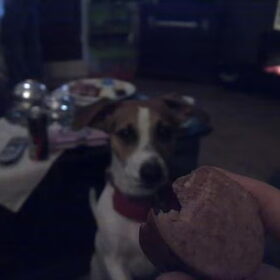 deejay heeft honger