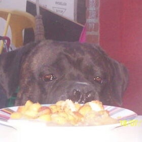 milano en het bord eten