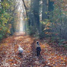 Prachtig herfstweer