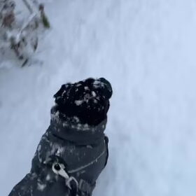 Sneeuw uit de lucht