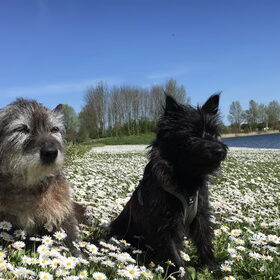 Samen aan het water