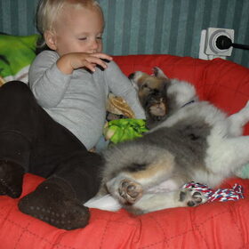Gek doen met Demy