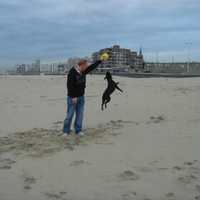 Scheveningen