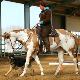 sep volgen met de horse&dog trail...