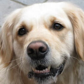 Noa wil heel graag wat eten ...